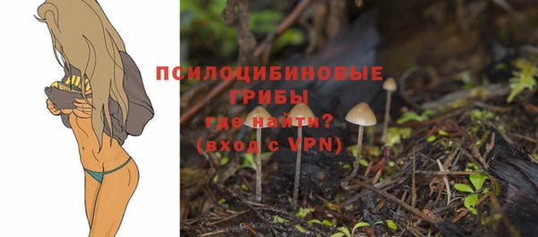 таблы Горно-Алтайск