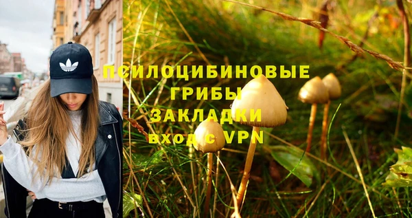 кокаин перу Горняк
