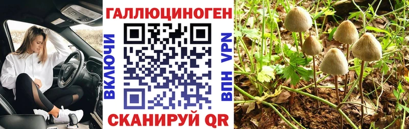 Купить где  Морозовск  Галлюциногенные грибы прущие грибы 